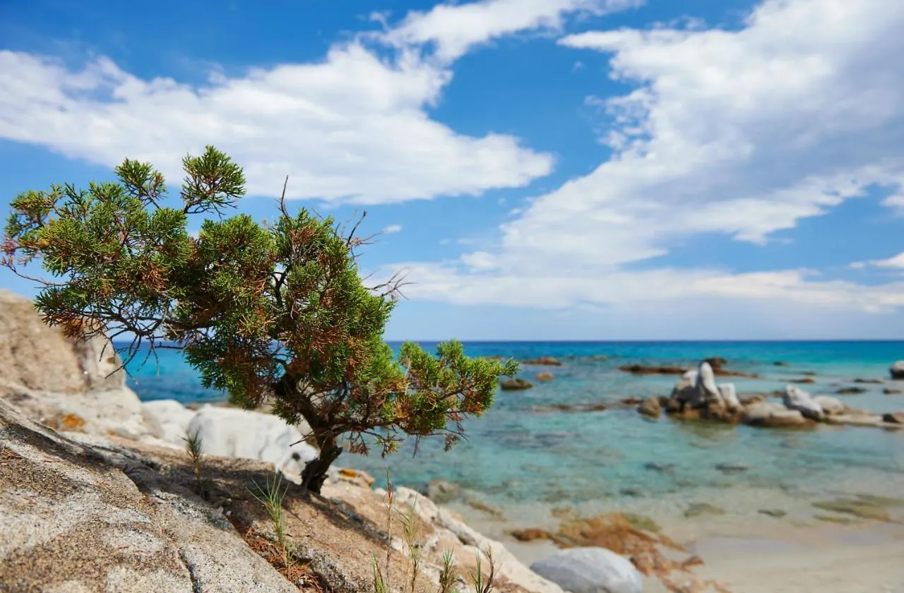 Murdegus Maison - Vivi Il Tuo Sogno In Sardegna! Tortoli Holiday home